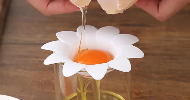Separador de clara y yema de huevo con forma de flor